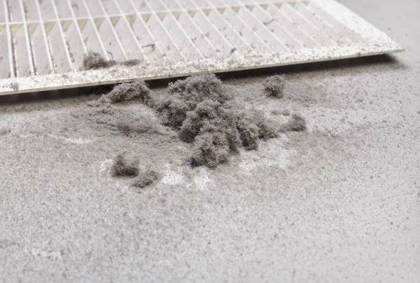 Best HVAC Duct Inspection Services  in Logan Elm Village, OH