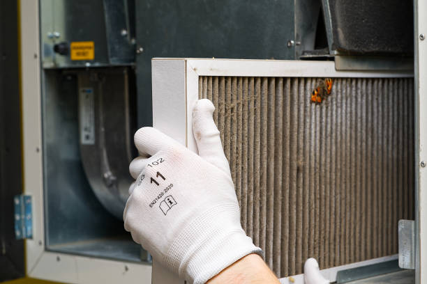 Best Ductwork Cleaning Services  in Logan Elm Village, OH