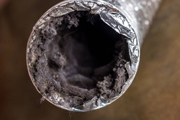 Best Professional Duct Cleaning Services  in Logan Elm Village, OH