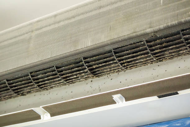 Best Affordable Duct Cleaning Services  in Logan Elm Village, OH